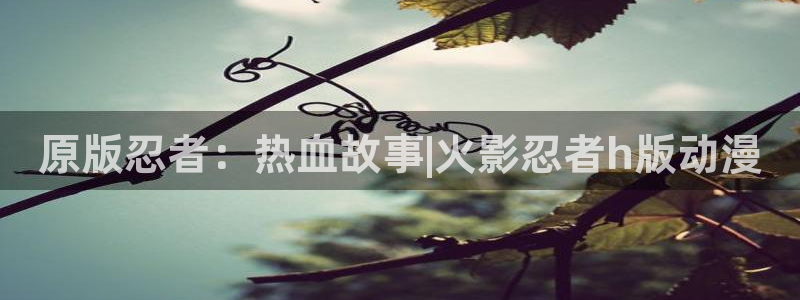 58动漫网址：原版忍者：热血故事|火影忍者h版动漫