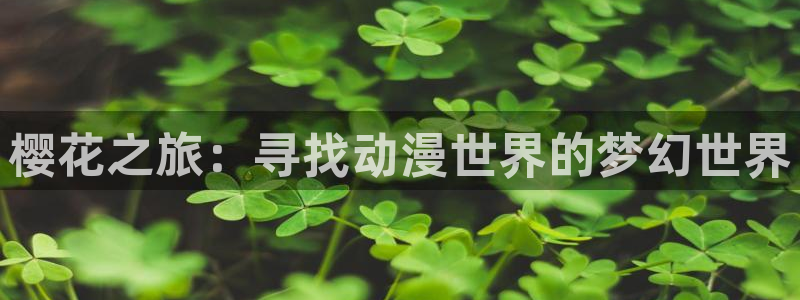 58动漫网,动漫：樱花之旅：寻找动漫世界的梦幻世界