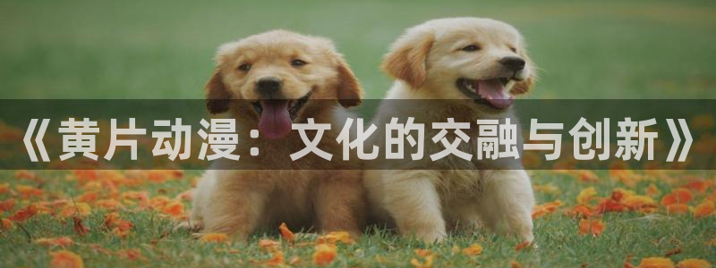 58动漫城：《黄片动漫：文化的交融与创新》