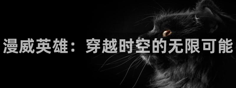 58动漫网 免费：漫威英雄：穿越时空的无限可能