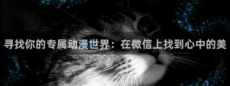 58动漫在线免费观看：寻找你的专属动漫世界：在微信上找到心中的美